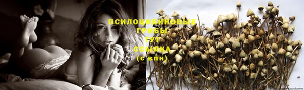спиды Наволоки