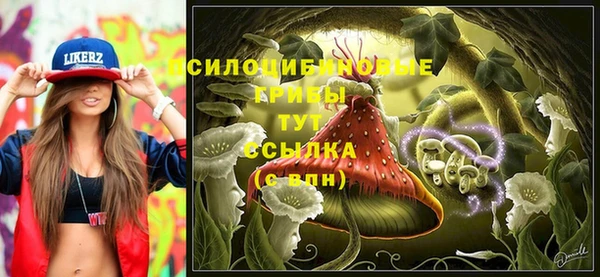 герыч Надым