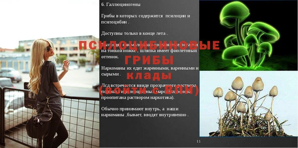 герыч Надым