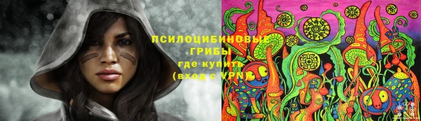 шишки Навашино