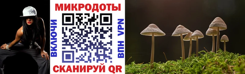 Псилоцибиновые грибы MAGIC MUSHROOMS  Полтавская 
